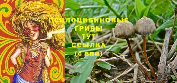 соль ск Алзамай