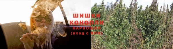 шишки Куйбышев