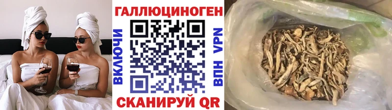 дарнет шоп Качканар Псилоцибиновые грибы GOLDEN TEACHER